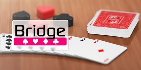 bridge image1600w